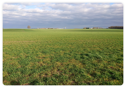 Photo-terrain--ASTRID-AGRI-CONSEIL---Conseil-indépendant-en-agronomie